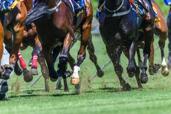 Cheltenham Gold Cup